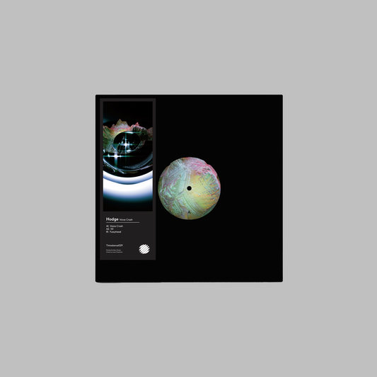 Hodge - Voice Crash